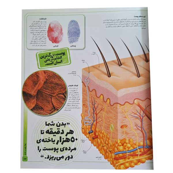 دایره المعارف مصور بدن شگفت انگیزما